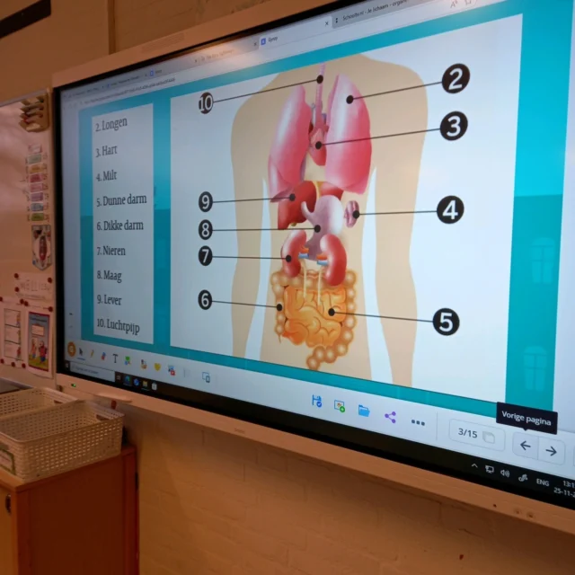 🧠💪 Thema: Het menselijk lichaam in groep M1! 👀🦴In groep M1 zijn we bezig geweest met het thema "het menselijk lichaam". We ontdekten waar onze organen zitten, wat onze botten doen en hoe bijzonder ons lichaam eigenlijk is.We voelen, bewegen, onderzoeken en leren, met hoofd, hart én handen! ❤️Wat een nieuwsgierige ontdekkers! 🔍👧👦#GroepM1 #MenselijkLichaam #LerenIsLeuk #OnderzoekersInDeDop